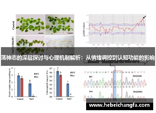 荡神志的深层探讨与心理机制解析：从情绪调控到认知功能的影响