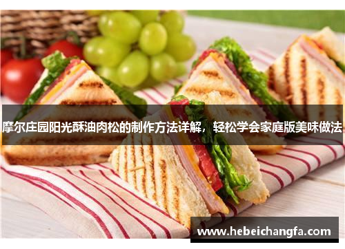 摩尔庄园阳光酥油肉松的制作方法详解，轻松学会家庭版美味做法